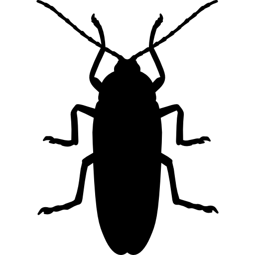 Novacil Cockroach Control Service